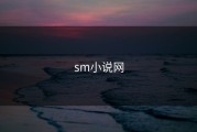 sm小说网