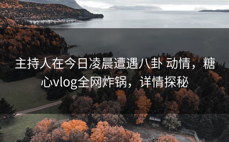 主持人在今日凌晨遭遇八卦 动情，糖心vlog全网炸锅，详情探秘