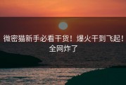 微密猫新手必看干货！爆火干到飞起！全网炸了