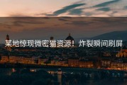 某地惊现微密猫资源！炸裂瞬间刷屏