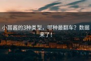 小耳酱的3种类型，哪种最翻车？数据来了！