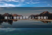 爆火！微密猫竟然让人一夜失眠！
