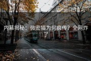 内幕揭秘：微密猫为何疯传？全网炸了