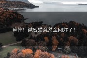 疯传！微密猫竟然全网炸了！