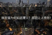 微密猫为何如此爆火？原因让人愤怒！