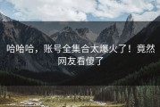 哈哈哈，账号全集合太爆火了！竟然网友看傻了