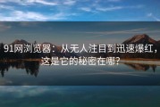 91网浏览器：从无人注目到迅速爆红，这是它的秘密在哪？