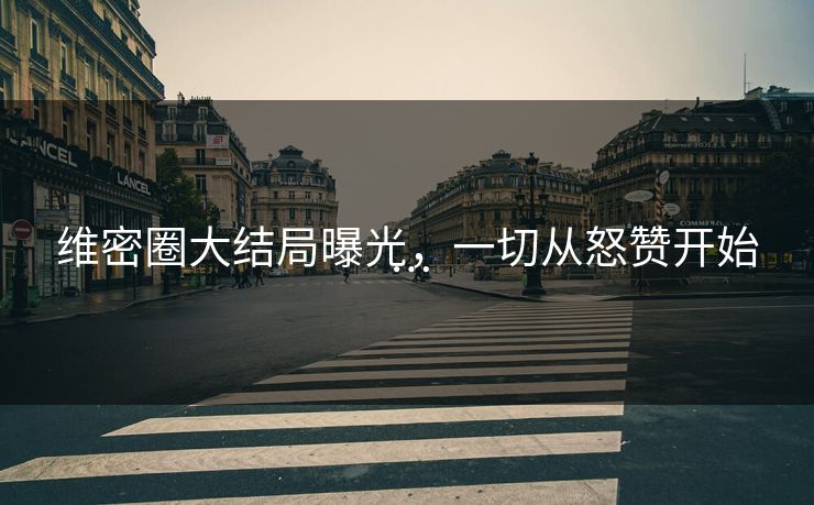 维密圈大结局曝光，一切从怒赞开始…