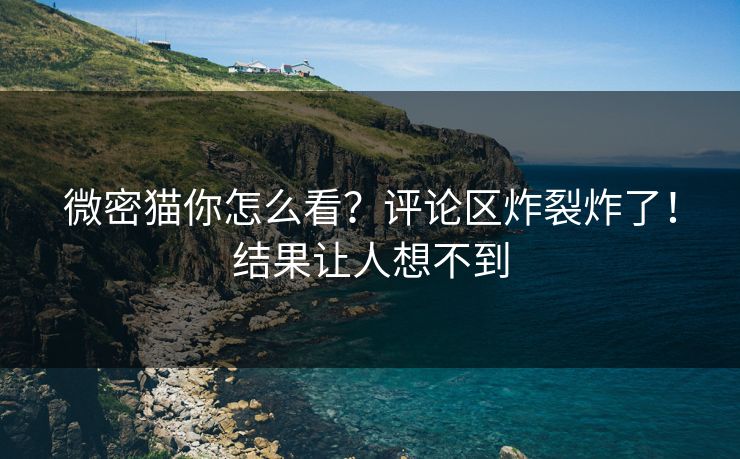 微密猫你怎么看？评论区炸裂炸了！结果让人想不到