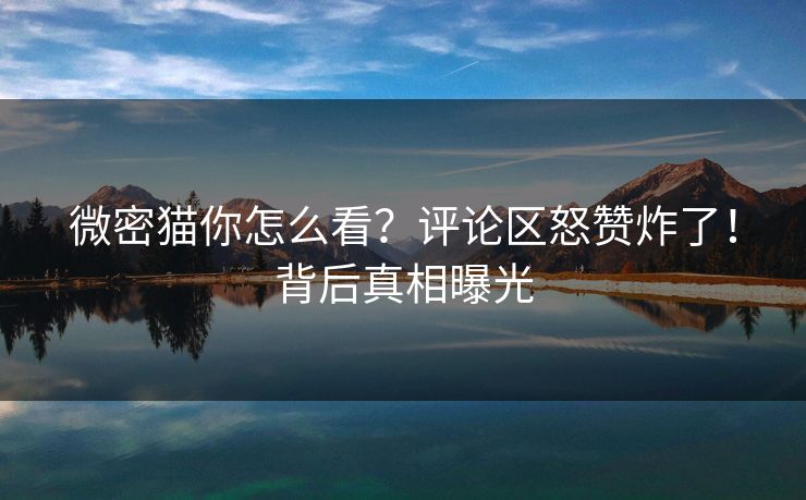微密猫你怎么看？评论区怒赞炸了！背后真相曝光
