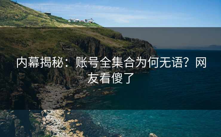 内幕揭秘：账号全集合为何无语？网友看傻了