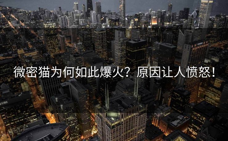 微密猫为何如此爆火？原因让人愤怒！