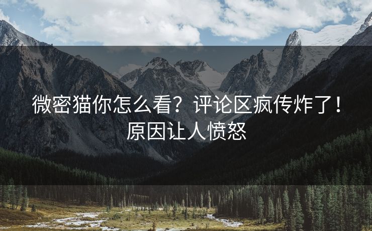 微密猫你怎么看？评论区疯传炸了！原因让人愤怒