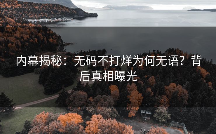 内幕揭秘：无码不打烊为何无语？背后真相曝光