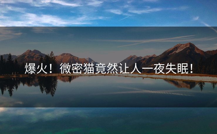 爆火！微密猫竟然让人一夜失眠！