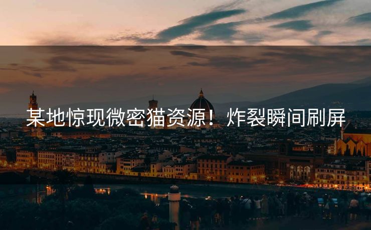 某地惊现微密猫资源！炸裂瞬间刷屏