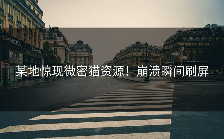 某地惊现微密猫资源！崩溃瞬间刷屏