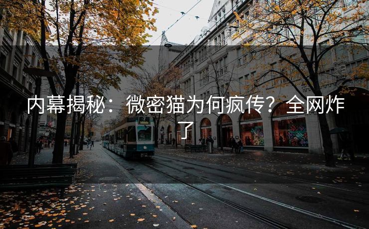 内幕揭秘：微密猫为何疯传？全网炸了