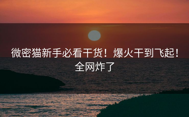 微密猫新手必看干货！爆火干到飞起！全网炸了