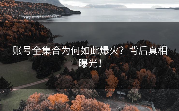 账号全集合为何如此爆火？背后真相曝光！