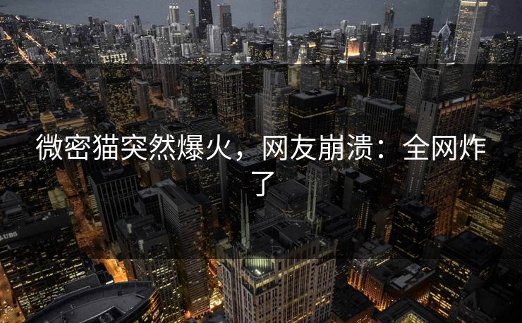 微密猫突然爆火，网友崩溃：全网炸了