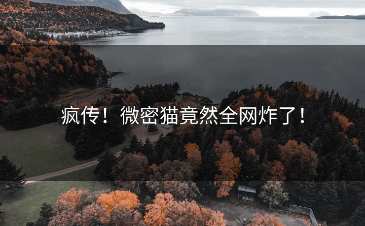 疯传！微密猫竟然全网炸了！