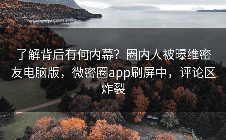 了解背后有何内幕？圈内人被曝维密友电脑版，微密圈app刷屏中，评论区炸裂