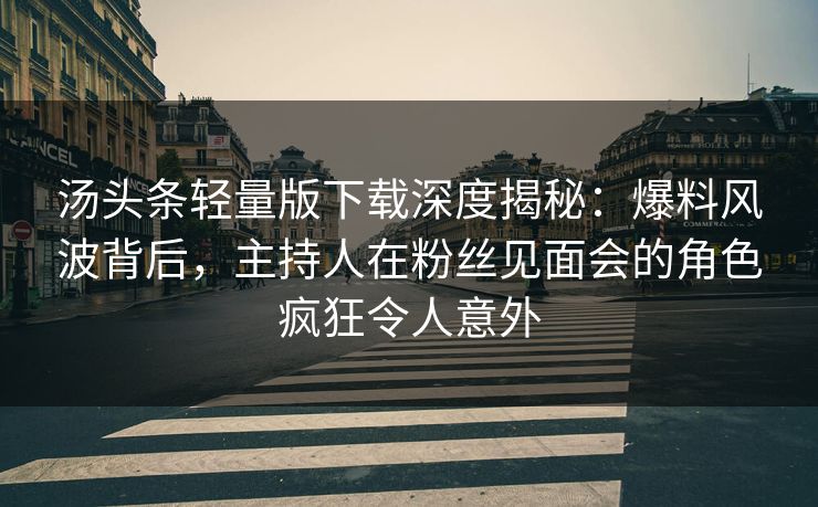 汤头条轻量版下载深度揭秘：爆料风波背后，主持人在粉丝见面会的角色疯狂令人意外