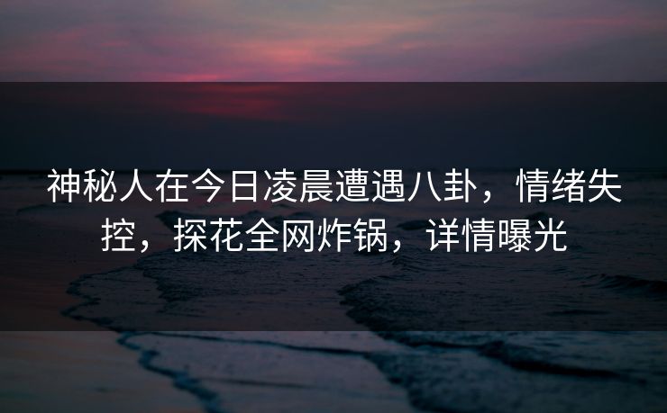 神秘人在今日凌晨遭遇八卦,情绪失控,探花全网炸锅,详情曝光 神秘人在今日凌晨遭遇八卦,情绪失控,探花全网炸锅,详情曝光